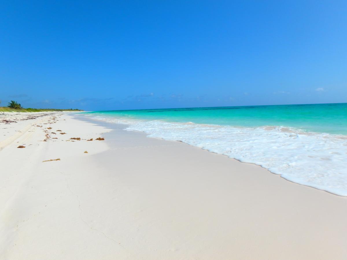 Greenwood Beach Resort Bailey Town  Dış mekan fotoğraf
